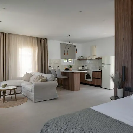 Theros Luxury Apartment Archangelos  Exterior photo